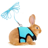 Funki Buys | Pet Harnesses | Rabbit Harness Vest and Leash | Small Pets
