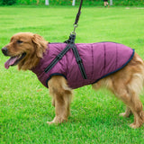 Funki Buys | Dog Coats | Dog Jacket | Pet Harness | Reflective